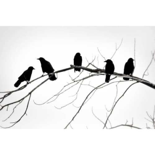 L. Blackwood - Burghers of Bozeman | Photography by Farmhaus + Co.. Item made of paper