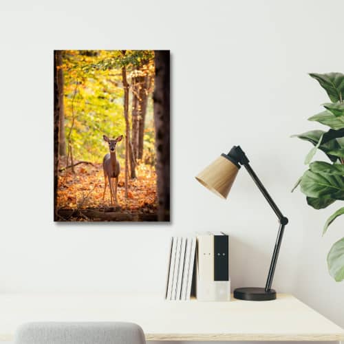 Photograph • Autumn Deer, Nature, Fall Leaves, Deer | Photography by Honeycomb. Item composed of metal and paper