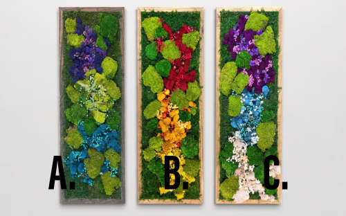 Living Moss Wall Organic Modern Art, Dried Flower Art | Living Wall in Plants & Landscape by Sarah Montgomery