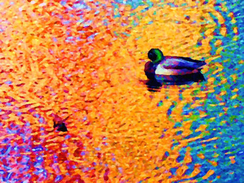 Duck a l'Orange - A tribute to Van Gogh | Photography by Coblitz Creative Concepts, LLC