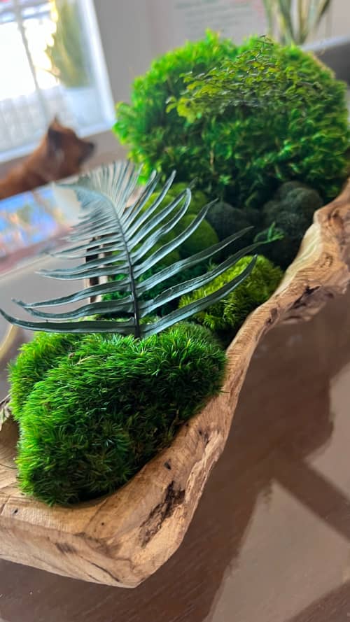 Driftwood Moss Centerpiece | Decorative Bowl in Decorative Objects by Moss Art Installations