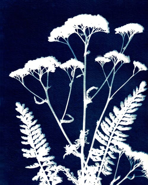 Yarrow Three | Prints in Paintings by Kathy Ferguson Art