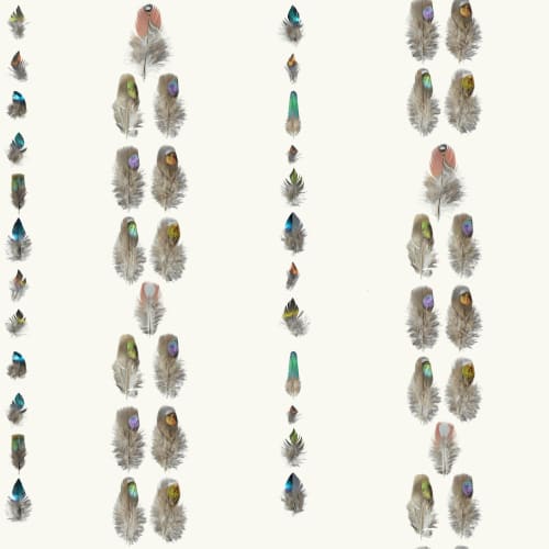 Light As A Feather | Wallpaper in Wall Treatments by Wallcovetings by Brenda Houston. Item composed of paper