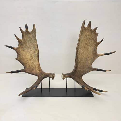 Moose Paddle Sculpture | Sculptures by Farmhaus + Co.. Item made of wood