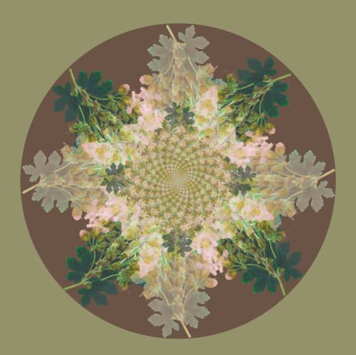 Botanical mandala #1 | Photography by Louise O'Gorman