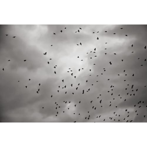 L. Blackwood - Dark Wing 1 | Photography by Farmhaus + Co.. Item composed of paper