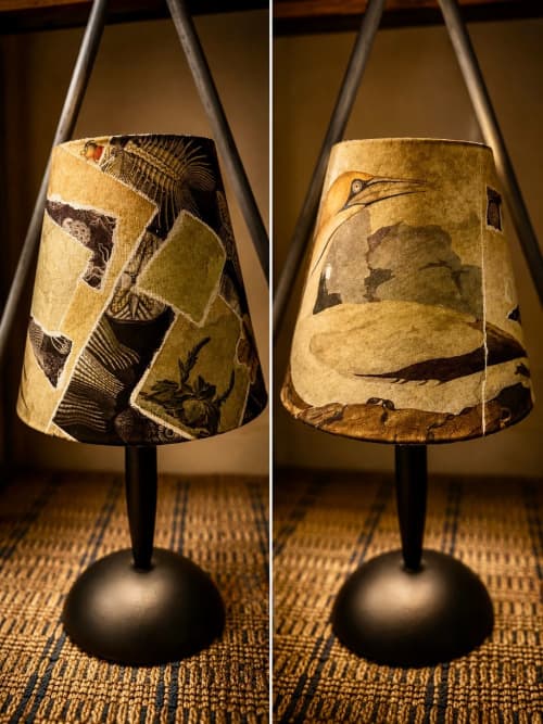 Case File No. 008: The Specimen | Table Lamp in Lamps by Lamp Bandit