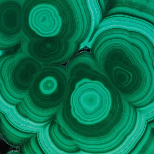 Malachite - Verde | Wallpaper in Wall Treatments by Wallcovetings by Brenda Houston. Item composed of fabric & paper