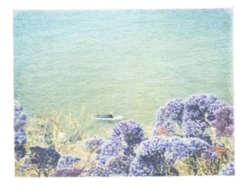Surfing Through Gardens | Photography by She Hit Pause. Item composed of paper