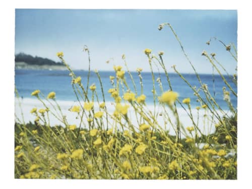 The colors of wind and warmth | Photography by She Hit Pause. Item made of paper