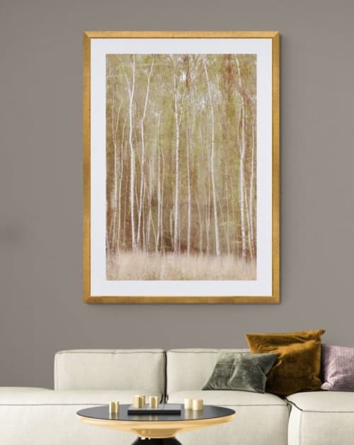 Woodlands #1 | Photography by Louise O'Gorman