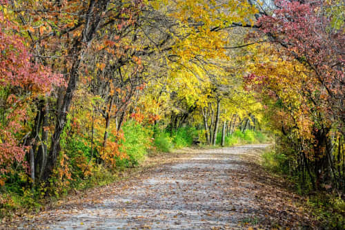 Katy Trail Fall | Photography by Coblitz Creative Concepts, LLC. Item compatible with contemporary style