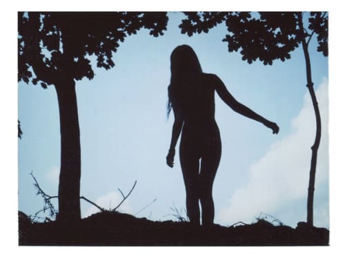 Trees That Imitate | Photography by She Hit Pause. Item composed of paper