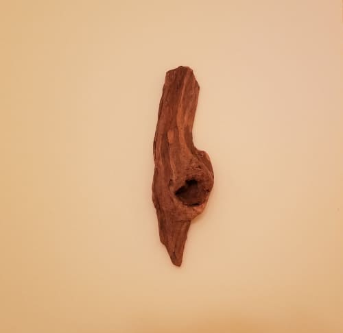 Driftwood Art Wall Hanging | Sculptures by Sculptured By Nature  By John Walker. Item composed of wood in minimalism style