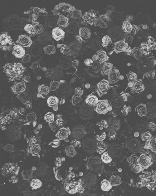 Black and White Roses Photograph, Large Romantic Wall Art by Capricorn