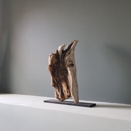 Driftwood Sculpture "Blooming" | Sculptures by Sculptured By Nature  By John Walker. Item made of wood compatible with minimalism style