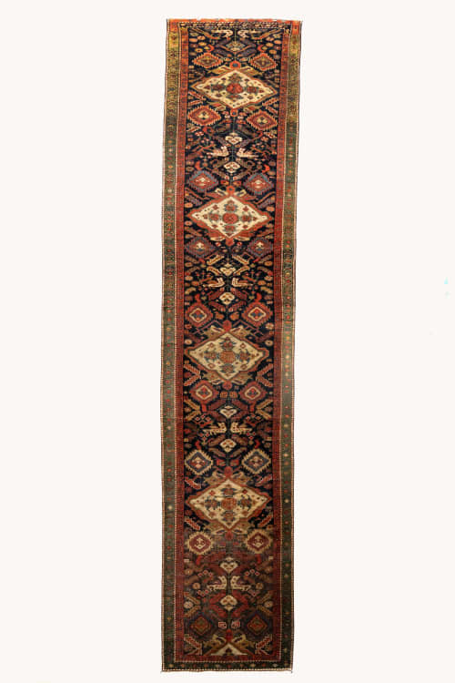 Briar | 3'1 x 13'11 | Runner Rug in Rugs by District Loom