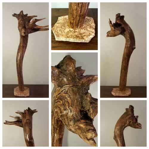 Driftwood Root Sculpture "Uncomely" with Travertine Base | Sculptures by Sculptured By Nature  By John Walker. Item made of wood works with minimalism style