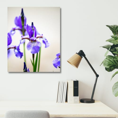 Photograph • Flowers, Purple Iris, Garden, Nature Photograph | Photography by Honeycomb. Item composed of metal and paper in minimalism style