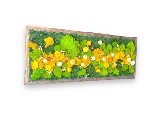 Dried Flower Art Preserved Moss Wall Decor, Framed Moss Wall by Sarah  Montgomery