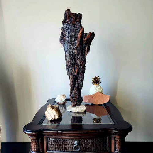 Driftwood Bark Art Sculpture "Brusque Mitt" | Sculptures by Sculptured By Nature  By John Walker. Item made of wood compatible with minimalism style