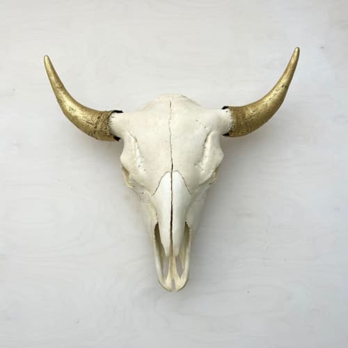 Bison Skull - Natural, Gilded Horns | Wall Sculpture in Wall Hangings by Farmhaus + Co.. Item made of wood