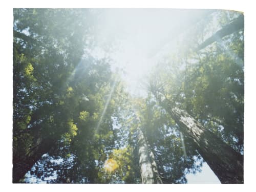 Tilting Our Heads Upwards, We Found Another World | Photography by She Hit Pause. Item composed of paper