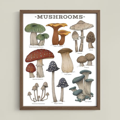 Woodland Mushrooms - White Edition | Prints by The Ugly Cat Studio