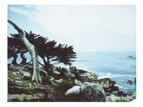She Claimed This View Her Favorite (California) | Photography by She Hit Pause. Item composed of paper