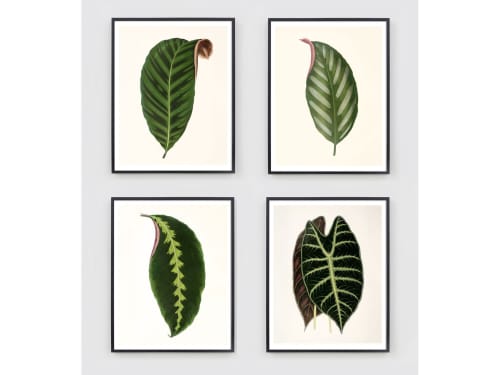 Botanical Print Set, Set of 4 botanical prints, Antique | Paintings by Capricorn Press. Item composed of paper in boho or country & farmhouse style