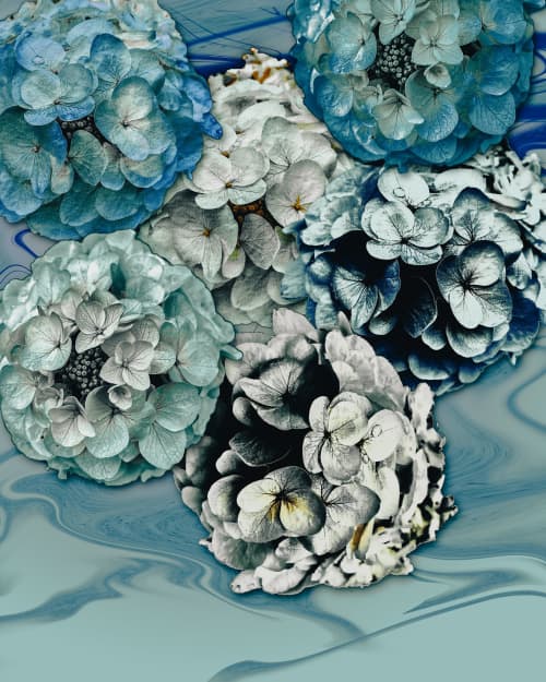 Steel Hydrangeas | Photography by Joanie Landau