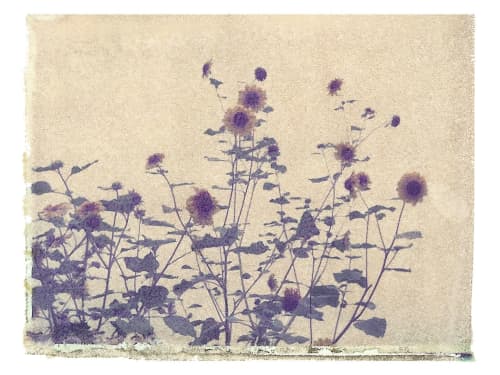 Blackeyed Susan | Photography by She Hit Pause. Item composed of paper