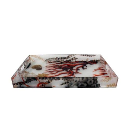 NEPTUNE (Serving Tray) | Serveware by Oggetti Designs. Item composed of synthetic