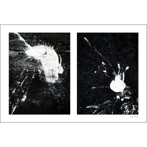 Spills Diptych #05: Conversing White Blobs | Photography by Susan Bowen Photos