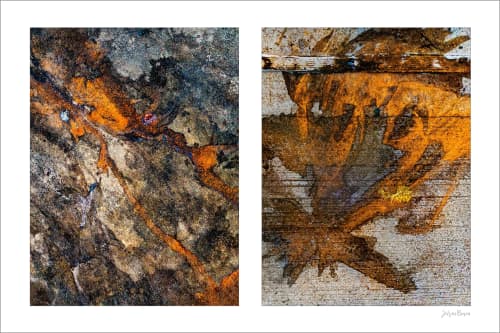 Spills Diptych #15: Coffee Ground Abstract (small sale size) | Photography by Susan Bowen Photos