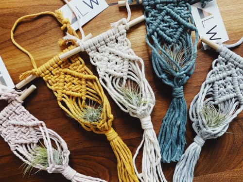 Macrame Air Plant Holder | Macrame Wall Hanging in Wall Hangings by Likewoah Handmade (Sam). Item composed of fabric and fiber