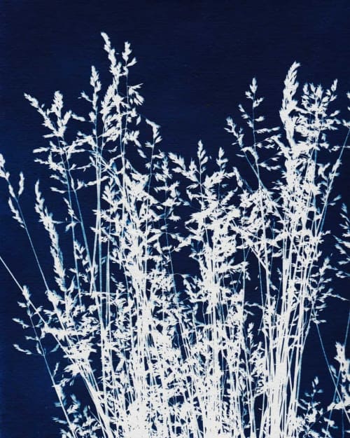 Ornamental Grass One | Prints by Kathy Ferguson Art