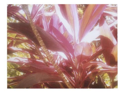 Colors You Can Taste (Costa Rica) | Photography by She Hit Pause. Item made of paper