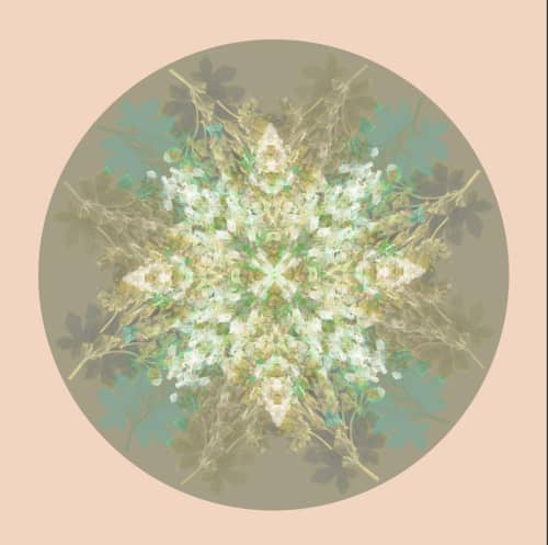 Botanical mandala #4 | Photography by Louise O'Gorman