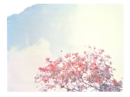 Soft Orange And Blues | Photography by She Hit Pause. Item made of paper
