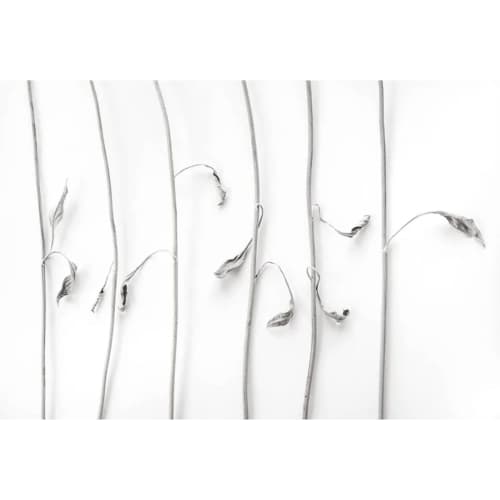 L. Blackwood - Dancing Sunflower Stems | Prints by Farmhaus + Co.. Item made of paper