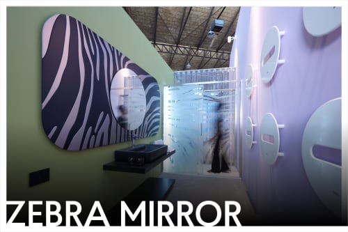 Zebra Mirror | Decorative Objects by PlusObject
