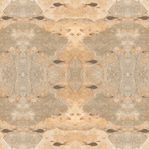 Under The Sea Fossils | Wallpaper in Wall Treatments by Wallcovetings by Brenda Houston. Item made of paper