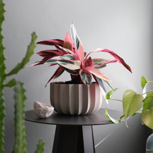 Wrap Planter - 4 sizes | Vases & Vessels by Misewell