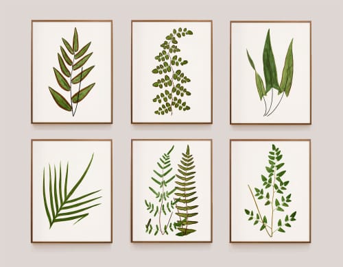 Fern Print Set, Fern Prints set of 6 or 8 fern prints | Prints by Capricorn Press. Item composed of paper in boho or country & farmhouse style