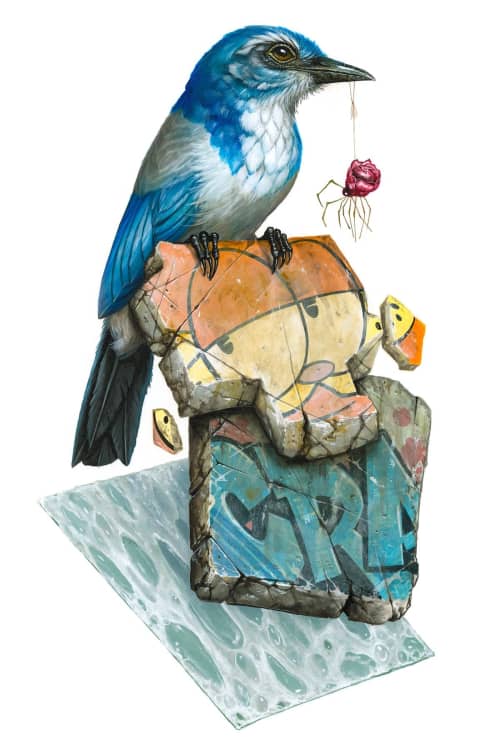 "Beaks" | Prints by Greg "CRAOLA" Simkins