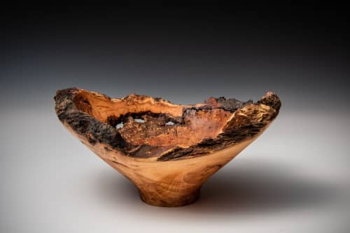 Cherry Burl - Relic Series | Decorative Bowl in Decorative Objects by Louis Wallach Designs. Item composed of wood in rustic style