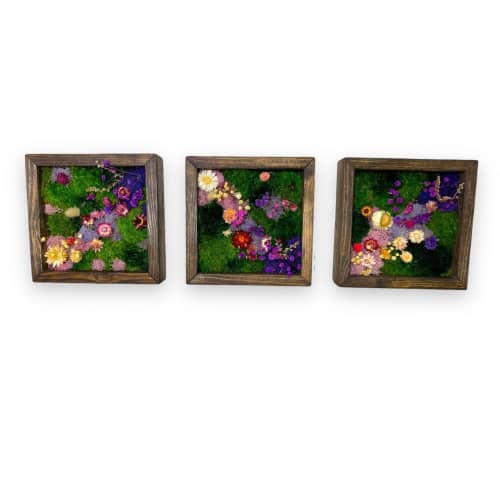 Moss Wall Art, Pressed Flower Art, Preserved Moss Decor | Living Wall in Plants & Landscape by Sarah Montgomery