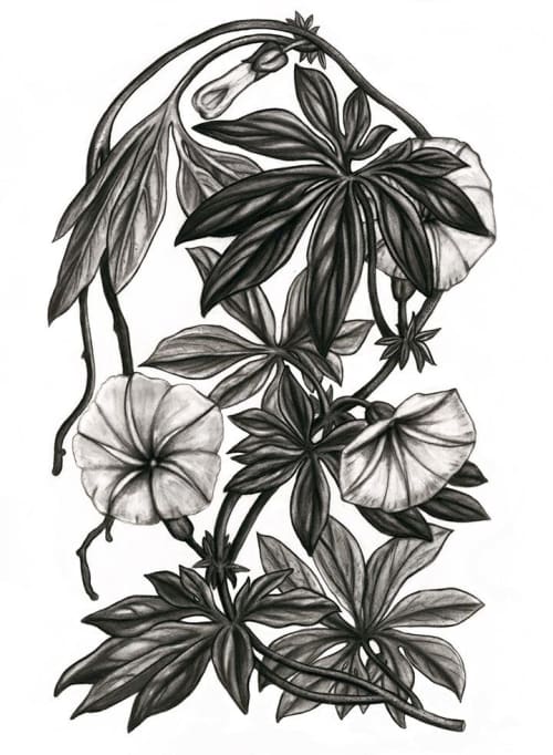 "Canarina Campanula" Print | Prints by Stevie Howell. Item made of paper