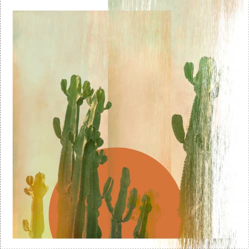 Cactus sun | Photography by Louise O'Gorman